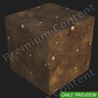 PBR substance preview forest ground 0001